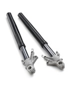 Suspension / Bras oscillant